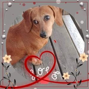 Meet your Posher, Connie